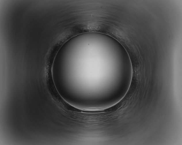 X0000088610735200705251220