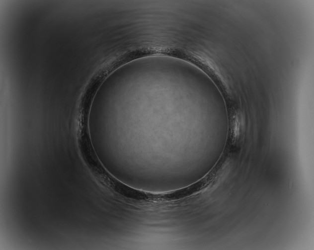 X0000088610736200705251220