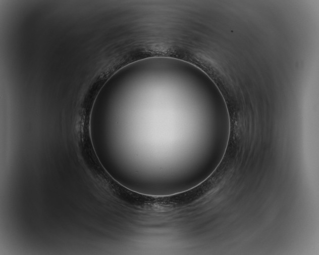 X0000088610739200705251220