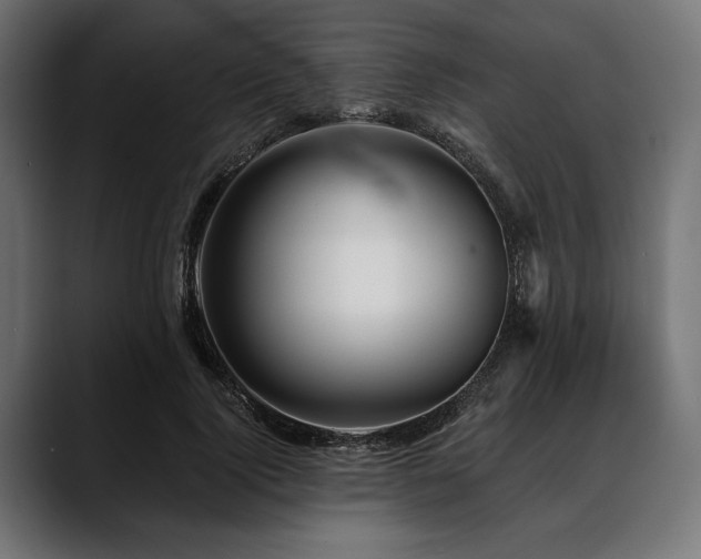 X0000088610740200705251220