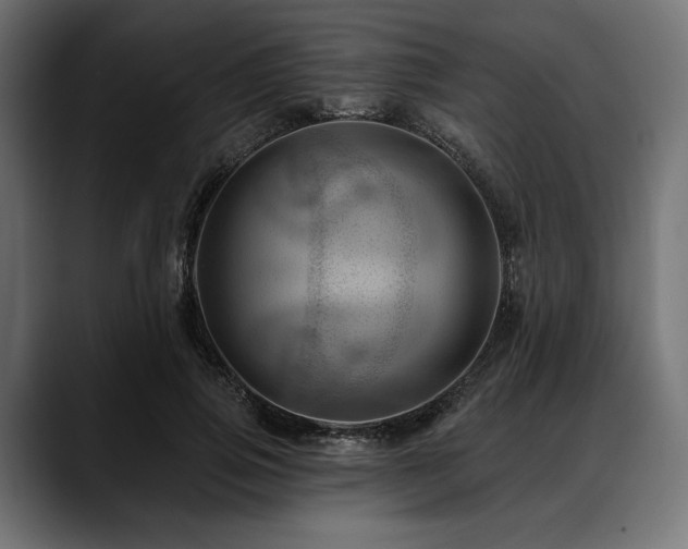 X0000088610741200705251220