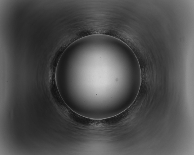 X0000088610742200705251220