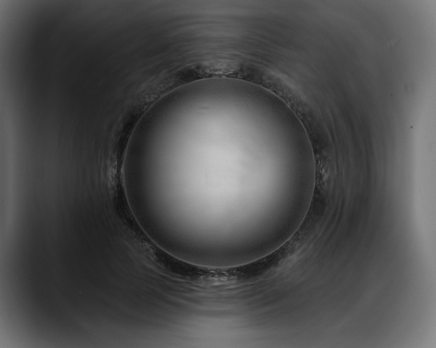 X0000088610745200705251220