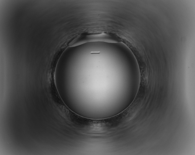 X0000088610746200705251220