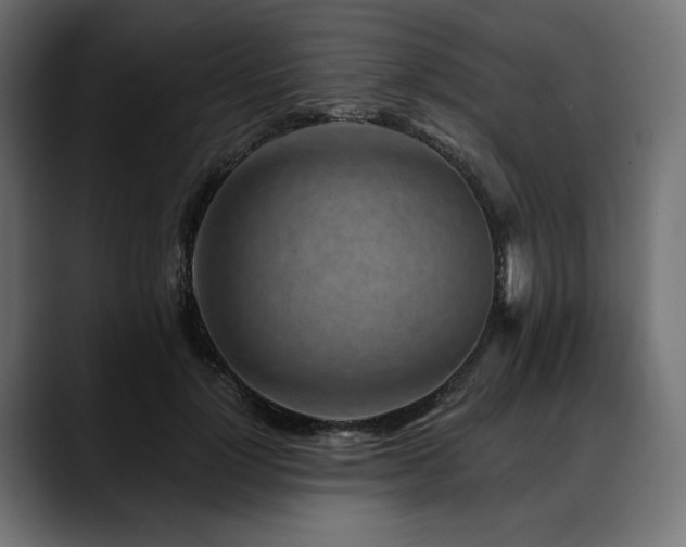 X0000088610748200705251220