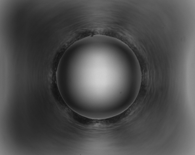 X0000088610750200705251220