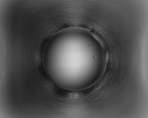 X0000088610751200705251220