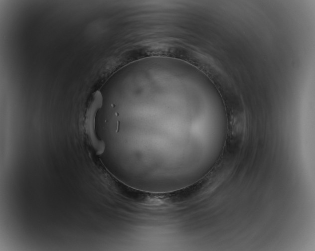 X0000088610753200705251220