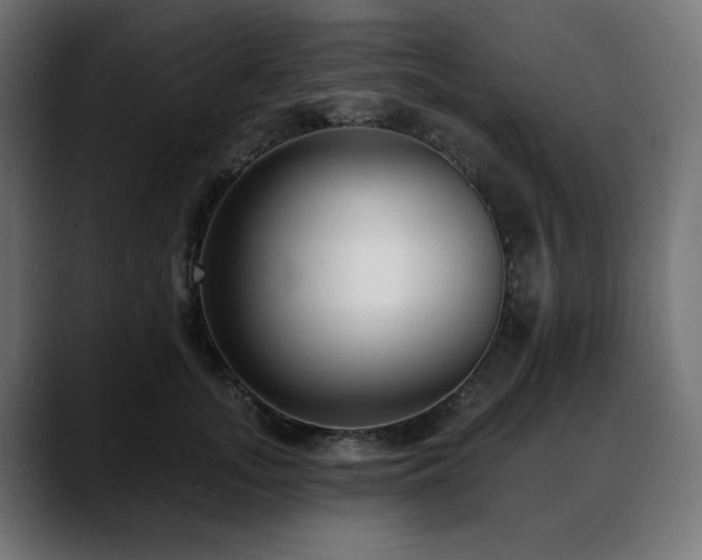 X0000088610755200705251220