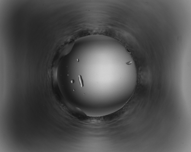 X0000088610756200705251220