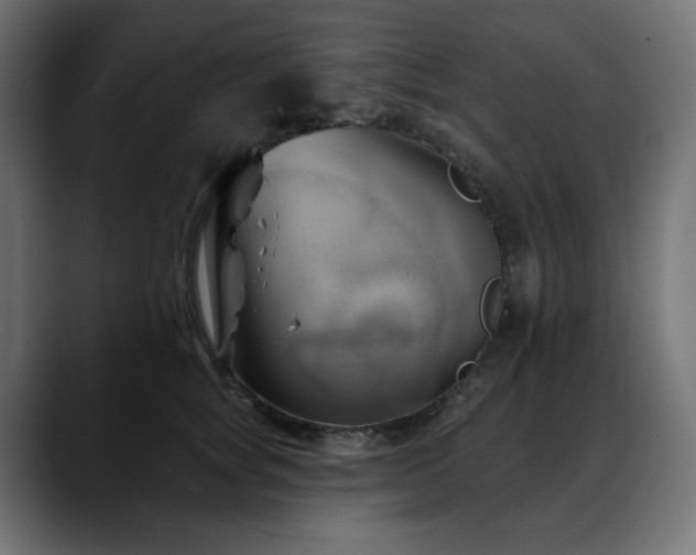 X0000088610757200705251220