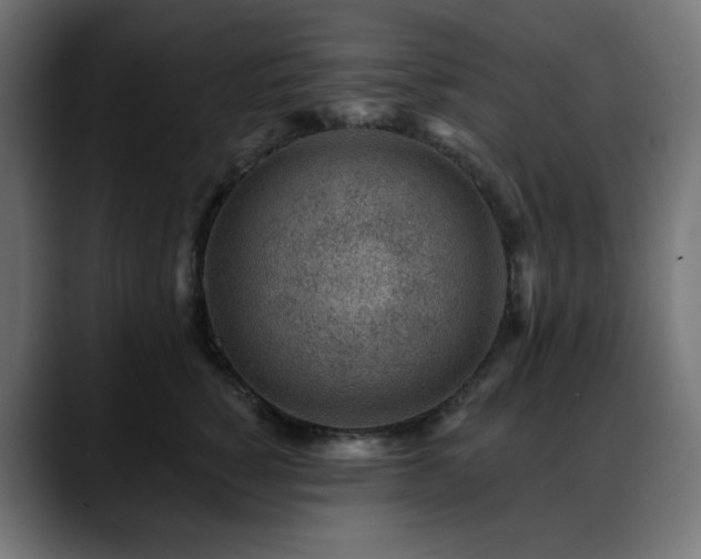 X0000088610760200705251220