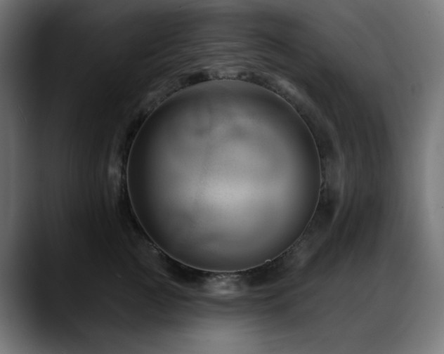 X0000088610761200705251220