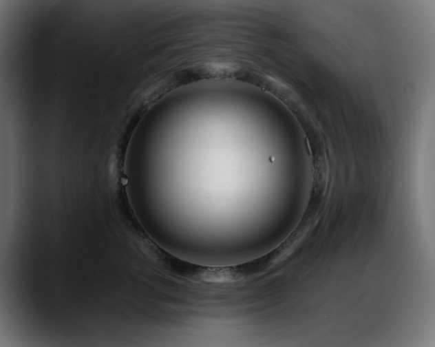 X0000088610762200705251221