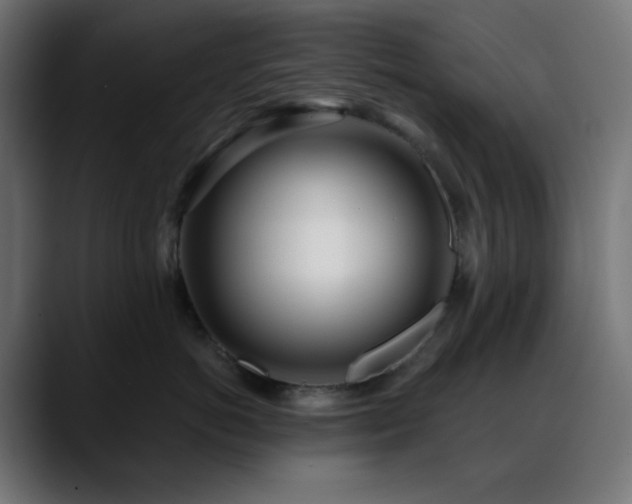 X0000088610766200705251221