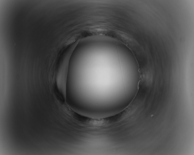 X0000088610767200705251221