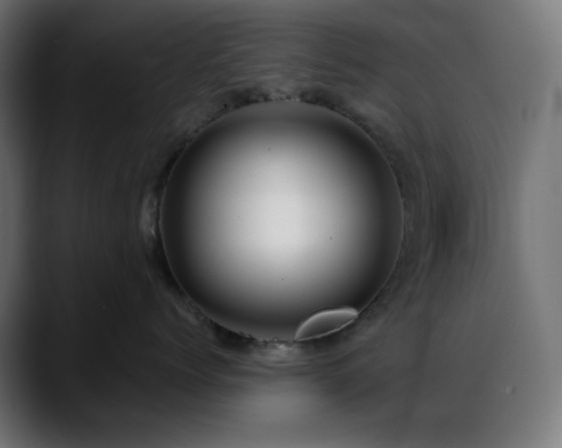 X0000088610768200705251221