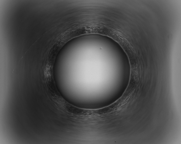 X0000088610770200705251220