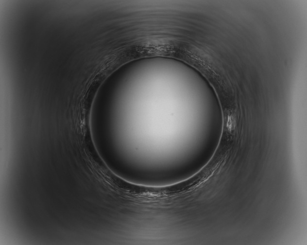 X0000088610771200705251220