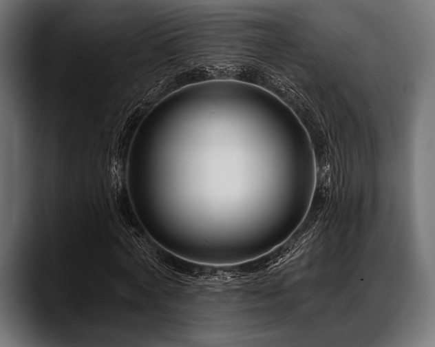 X0000088610772200705251220