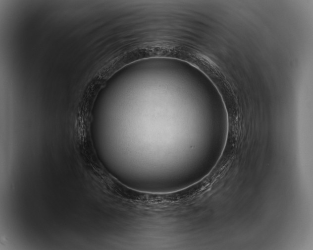 X0000088610774200705251220