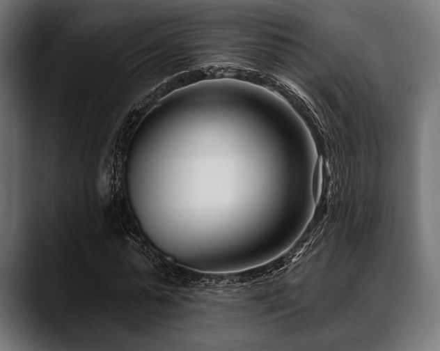 X0000088610775200705251220