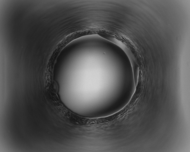 X0000088610776200705251220