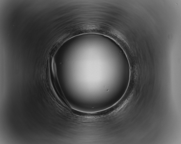 X0000088610777200705251220