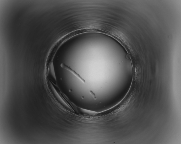 X0000088610780200705251220