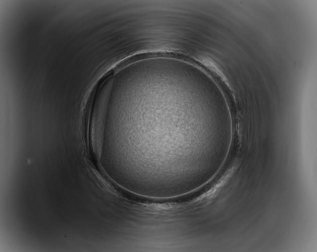 X0000088610781200705251220