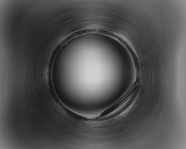 X0000088610783200705251220