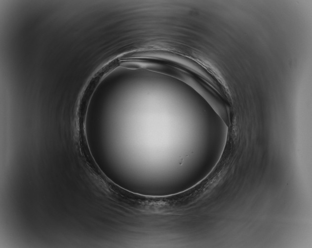 X0000088610784200705251220