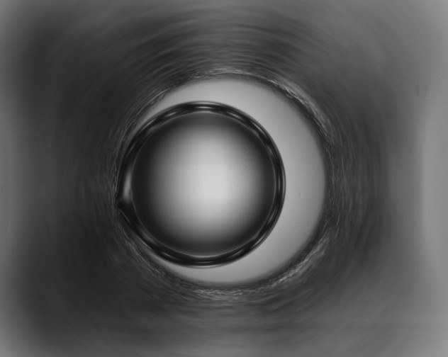 X0000088610785200705251220