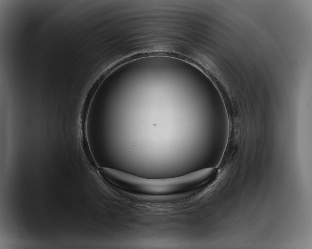 X0000088610789200705251220