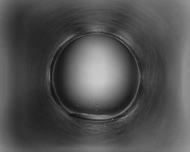 X0000088610790200705251220