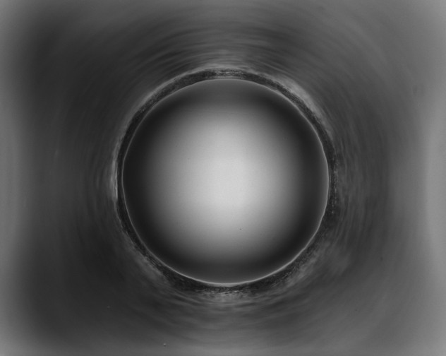 X0000088610791200705251220