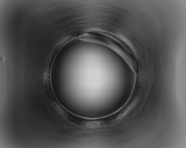 X0000088610793200705251220