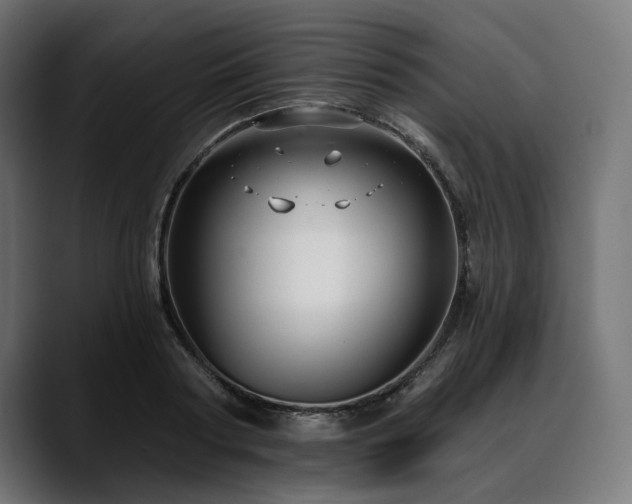 X0000088610794200705251220