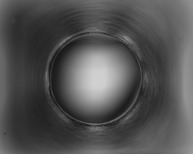 X0000088610796200705251220