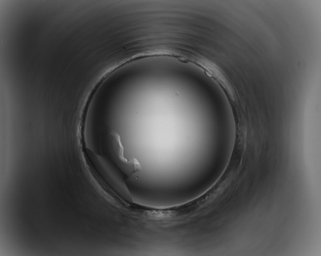 X0000088610805200705251219