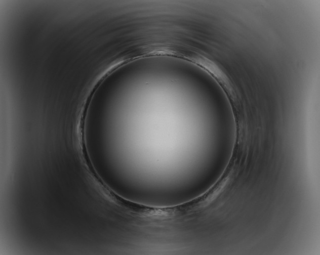 X0000088610806200705251219