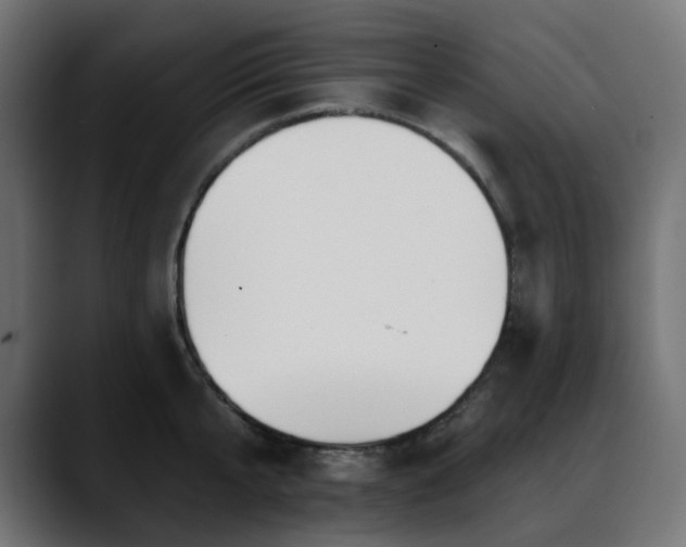 X0000088610807200705251219