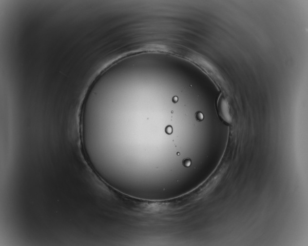 X0000088610808200705251219