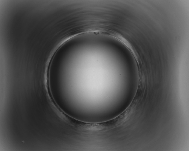 X0000088610811200705251219