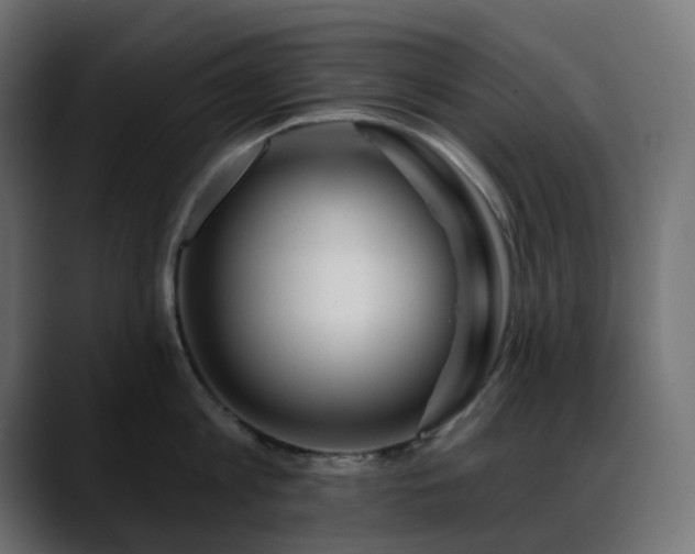 X0000088610813200705251219