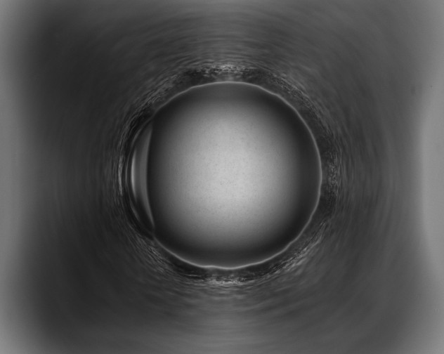 X0000088610818200705251219