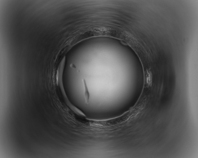 X0000088610819200705251219