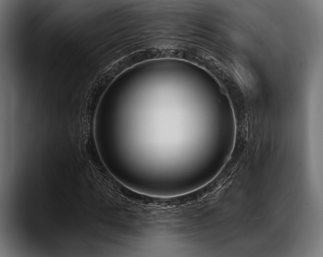 X0000088610821200705251219