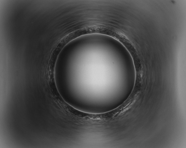 X0000088610822200705251219