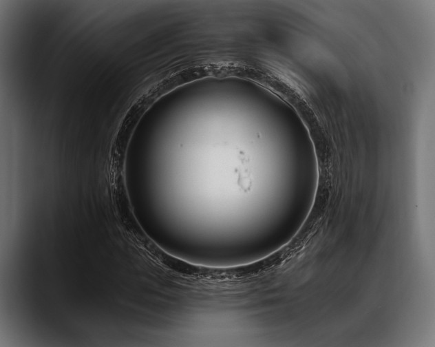 X0000088610823200705251219